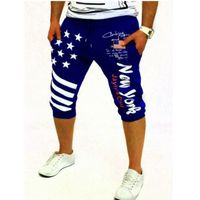 Wholesale Men s Shorts Summer European And American Fan Slim Flag Printed Fashion Urban Casual Exercise
