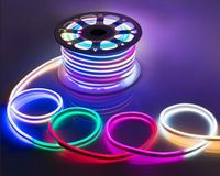 Wholesale AC V Flexible RGB LED Neon Light Strip IP65 Multi Color Changing LEDs m LED Rope Light Outdoor Remote Controller Power Plug LF
