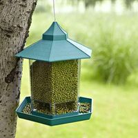 Birds Feeder Nz Buy New Birds Feeder Online From Best Sellers