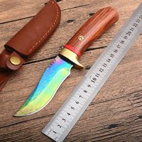 Wholesale High Quality Bowie Blade Hunting Knife Damascus Steel Colorful Titanium Coated Blades Wood Handle Survival Straight Knives