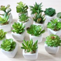 Wholesale Mini Artificial Succulent Plants Bonsai PVC Material Flowerpot Square Simulated Ceramic Basin Office Potted Plant sm L1