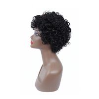Plecare 2 Couleur Synthétique Perruque Courte Frisée Pruiken Perruques Avec Une Frange Pour Les Femmes Blonde Noir Marron Cheveux Naturels Complète