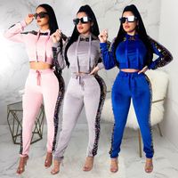 Wholesale 2019 Velvet Tracksuit Two Piece Set Women Clothes Sequin Crop Top Pants Sweat Suit Pink Outfits Velour Matching Sets
