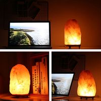 Wholesale Newest Himalayan Salt Lamp Natural Ionic Rock Crystal Salt Light Air Purifier Dimmer With Dimmer Switch AC V