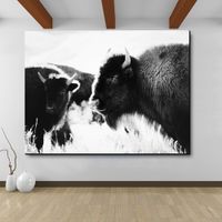 Cow Room Decor Australia New Featured Cow Room Decor At Best