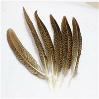 Wholesale inches Beautiful Natural Golden Pheasant Tail Feathers for Wedding Centerpiece Party Event Decor Festive DIY
