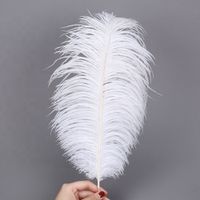 ostrich feathers wholesale uk