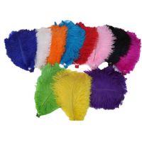 ostrich feathers bulk uk