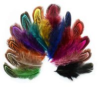 Wholesale 6 cm Pheasant Feather Tails Tail Feathers Fan For Craft Sewing Apparel Wedding Party Home Decoration EEA1643