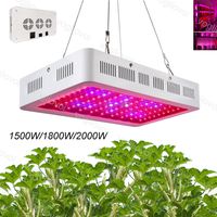 Wholesale Grow Light Full Spectrum Double Chip Single Switch W W W For Covered Tent Green Houses Plant Hydroponic Systems DHL