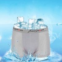 Wholesale Breathable Mesh Boxers Knickers panty ice silk Modal panties underwears boxers Underpants Briefs underwear boy shorts will and sandy new