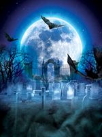 Wholesale Halloween Night Full Moon Bat Vinyl Photography Backdrops Dark Forest Gothic Graveyard Photo Booth Backgrounds for Children Studio Props