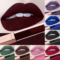 24 Couleur Maquillage Rouge à Lèvres Liquide étanche Rouge Mat Lèvres Maquillage Cosmeitc Longue Durée Mat Brillant à Lèvres Marron Bleu Nude Rouge à