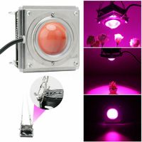 Wholesale Grow Lights W COB K K LED growth lamp v full spectrum plant for indoor planting of tent plants and flowers