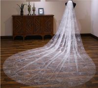 Wholesale 4 Meters Cathedral Veil For Wedding Dress Sparkling Satrs Bridal Gown White Ivory Soft Tulle Ivory Champagne Tulle One Layer With Comb
