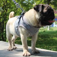 Wholesale High quality Reflective Pet Dog Cat Harness And Leash Set Nylon Mesh Kitten Puppy Vest Leads Pet Clothes