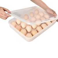 Wholesale Plastic Egg Carton Grid Eggs Holder Dust Proof Food Storage Boxes Kitchen Storage Organization Container Kitchen Tools