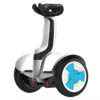 Wholesale Daibot Electric Scooter Adults Two Wheels Self Balancing Scooters Inch V W Smart Balance Hoverboard With Bluetooth APP