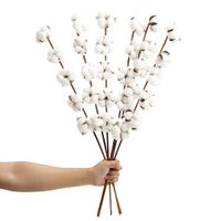 Wedding Vase Fillers Australia New Featured Wedding Vase Fillers