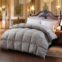 Wholesale Twin Size Down Comforters For Resale Group Buy Cheap