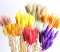 20 Tiges Naturelles Fleurs Séchées Coloré Lagurus Ovatus Véritable Bouquet De Fleurs Pour La Maison De Mariage Décoration Lapin Queue Herbe Bouquet