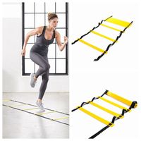 Wholesale 5 Section Meters Agility Ladder Football Rope Ladder Jumping Speed Pace Training Ladder Soccer Training Outdoor Equipment LJJZ496