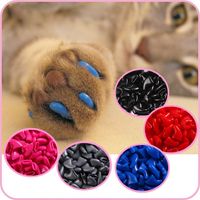 Wholesale 100 cats kitten grooming claw cap adhesive glue applicator soft rubber nail cover paws caps pet supplies
