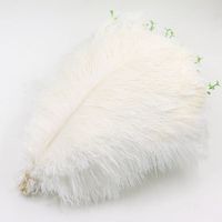 feather plumes in bulk