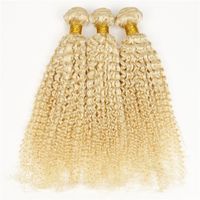 Wholesale Irina Beauty brazilian curly hair extensions blonde russian hair inch afro kinky curly hair weaves
