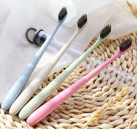 Wholesale 10pcs Good Quality Envriomental Friendly Wheat Stalk Toothbrush Bamboo Charcoal Soft Teethbrush for Adult Kids Travel Use PVC Tube Pack