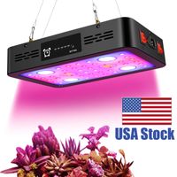 Wholesale 1200W Timing Function Led Grow Lights Dual Switches Grow Light Fixtures for Indoor Plants Growth Thermometer Humidity Monitor