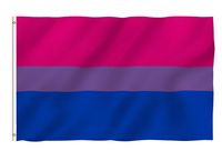 Wholesale 100pcs colorful Polyester cm x5 fts LGBT pride Rainbow bi bisexual Flag For Decoration SN317
