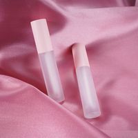 Wholesale 10pcs DIY Lip Gloss Plastic Box Containers Empty Frosted Lipgloss Tube Eyeliner Eyelash Container Mini Lip Gloss Split Bottle