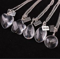 Wholesale Make A Wish Glass Bead Orb Natural dandelion seed in glass long necklace Glass bottle necklace silver plated Necklace jewelry