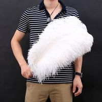 Wholesale 10Pcs Natural White Ostrich Feathers For Crafts CM Carnival Costumes Party Home Wedding Decorations Plumes Holiday decor