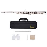 Wholesale Western Concert Flute Silver Plated Holes C Key Cupronickel Woodwind Instrument with Cleaning Cloth Stick Gloves Screwdriver