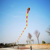 Wholesale Snake Kite D Kite Meter Colorful Skeleton free Long Tail Easy to fly Beach Kites outdoor sport Play
