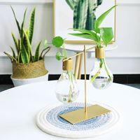 Wholesale Bulb Vases Buy Cheap Bulb Vases 2020 On Sale In Bulk