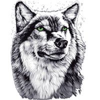 Wholesale 2 size grey wolf Patches Heat Transfer Iron On Patch A level Washable Clothes Stickers Easy Print Irons