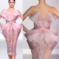 Wholesale elie saab Pink Lace Short Prom Dresses Strapless Sheath Party Wear Sexy Formal Evening Dress See Through robes de soirée