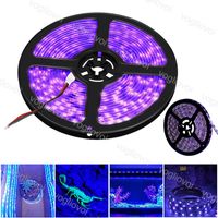 Wholesale Led Strip Lights UV LED Purple DC12V Tape Cabinet Lamp M Roll nm SMD5050 For Outdoor Indoor Stage House DHL