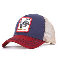 Blue Eye of The Tiger Classic Adjustable Cotton Baseball Caps Trucker Driver Hat Outdoor Cap Fitted Hats Dad Hat Gray