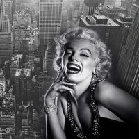 Shop Marilyn Monroe Room Decor Uk Marilyn Monroe Room Decor Free
