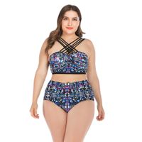 Wholesale Plus Size Bikini Sets Large Bra Swimwear Women Push Up Gild Bathing Suit Big Cup Puzzle Pattern Printed Swimsuit