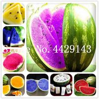 Wholesale 50 Colorful Watermelon bonsai plant seeds Very Easy Grow Succulent Plants In Happy Farm Summer Delicious Fruit seed bonsai