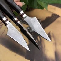 Wholesale Small Damascus Fixed Blades Kitchen Knife VG10 Damascus Steel Blade Ebony Handle Fruit Knives With Leather Sheath