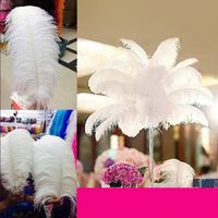 ostrich feathers wholesale uk