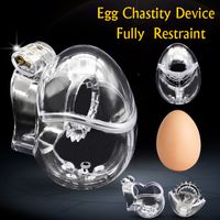 Wholesale CHASTE BIRD New Design Male Egg Type Fully Restraint Chastity Device Bondage Belt Cock Cage Sex Toy Sissy Spikes Penis Ring