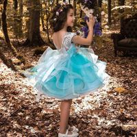Wholesale Cute Girls Pageant Dresses Toddler Princess Party Dress For Girls Kids Lace Fluffy Cake Smash For Girls Flower Girl Dresses