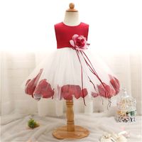 Wholesale Newborn Baby Girl Year Birthday Dress Petals Tulle Toddler Girl Christening Dress Infant Princess Party Dresses For Girls